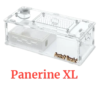 Sticker Муравьи - 11