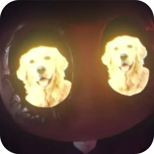 Murder drones 1-8 ep. - 