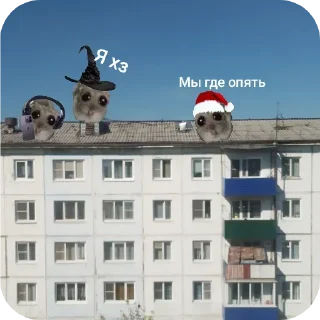 Sticker Больше стиков тут: @stikery4 - 10