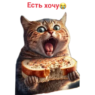 Стикер На каждый день - 11