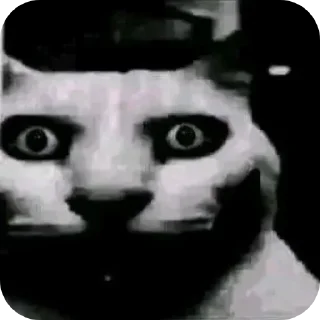 Sticker Набор - 5