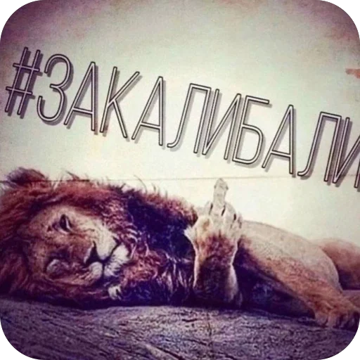 Sticker NaborObezyan - 1