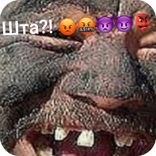 Набор ржач - 