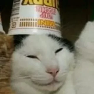 Sticker Набор всего полезного - 3