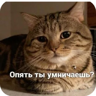 Sticker Наборчик РелаХи - 1