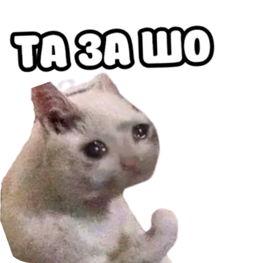 Sticker Nadoliono - 1