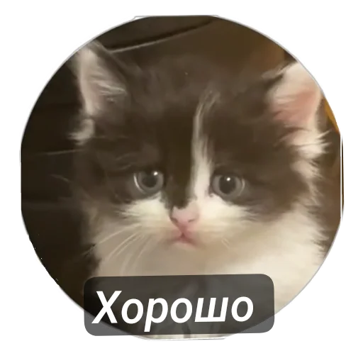 Sticker Nadoliono - 1