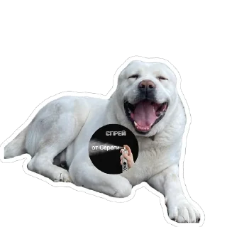 Sticker Наши - 2