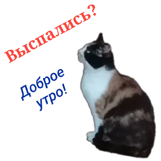 Стикер Наши пушистики) - 0