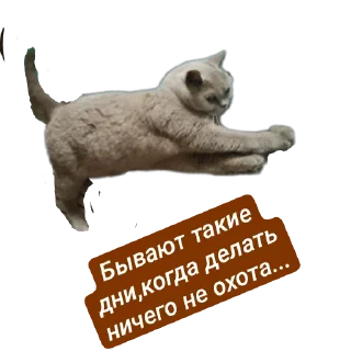 Стикер Наши пушистики) - 1