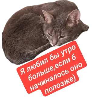 Стикер Наши пушистики) - 4