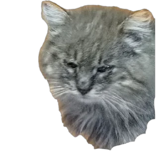 Стикер Наши пушистики) - 6