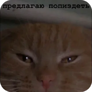 Стикер Наши стикеры 😚🩷 - 4