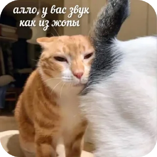 Стикер Наши стикеры 😚🩷 - 7