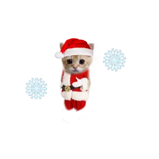 Sticker Nasu_kit - 2