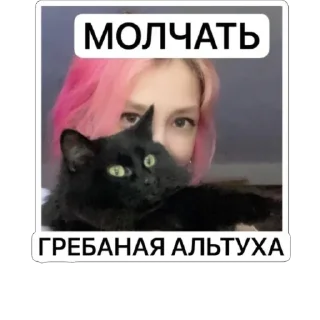 Sticker Несмеянаблин - 5