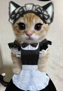 Стикер @stickery - 1