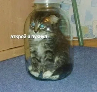 Стикер @stickery - 9