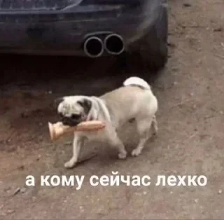 Стикер @stickery - 2