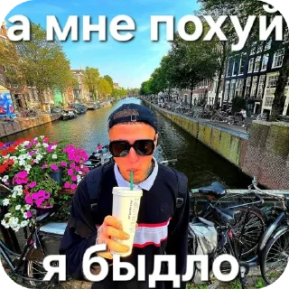 Стикер Ноласлс - 7