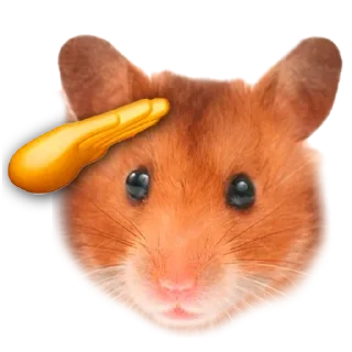 Sticker @stickerry_tg - 5