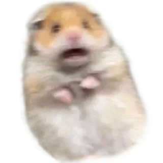 Sticker @stickerry_tg - 2