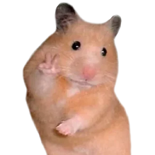 Sticker @stickerry_tg - 3