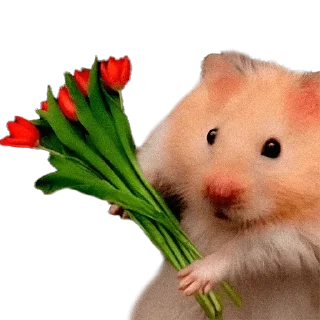 Sticker @stickerry_tg - 7