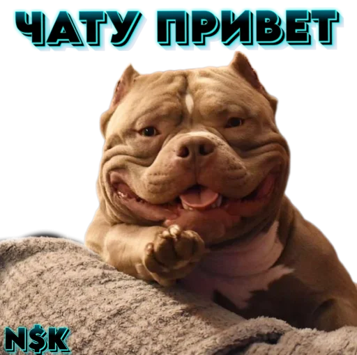 N$K @TgEmodziBot - 