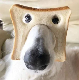 Sticker N$K @TgEmodziBot - 4