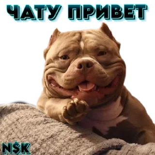 Sticker N$K @TgEmodziBot - 9