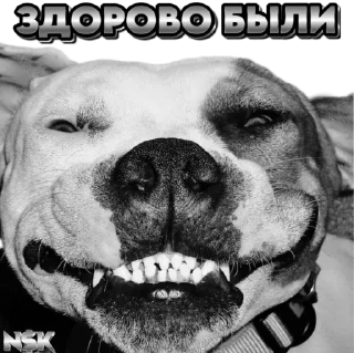 Sticker N$K @TgEmodziBot - 5