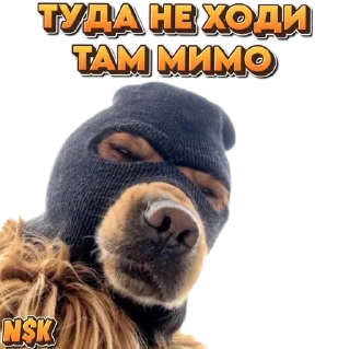 Sticker N$K @TgEmodziBot - 10