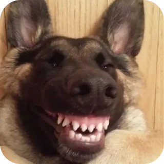 Sticker N$K @TgEmodziBot - 0