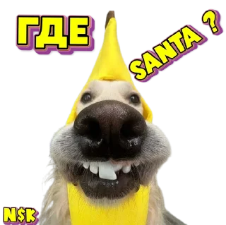 Sticker N$K @TgEmodziBot - 8