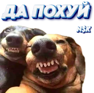 Sticker N$K @TgEmodziBot - 11