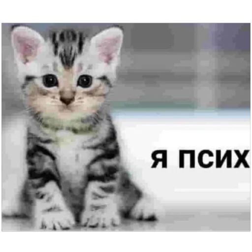 Sticker Nu_tam_ehto - 1