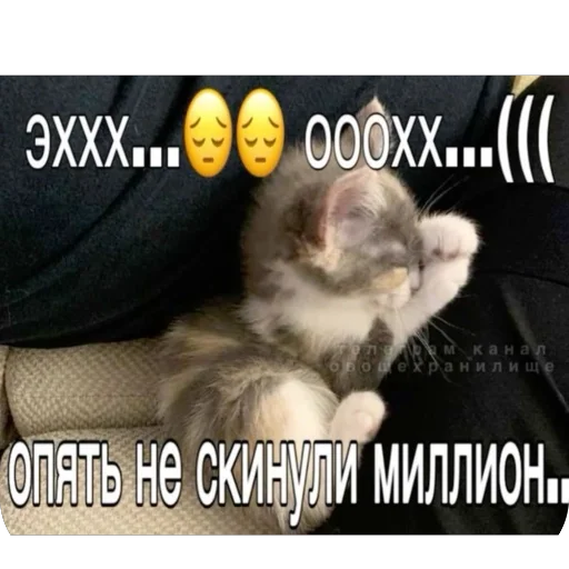 Sticker Nu_tam_ehto - 1