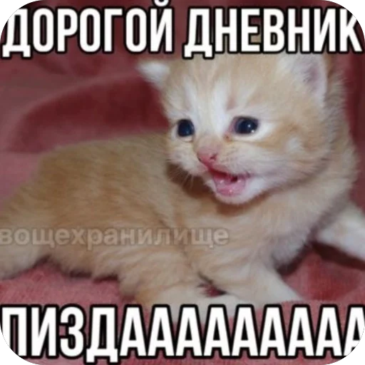 Стикер Nu_tam_ehto - 1