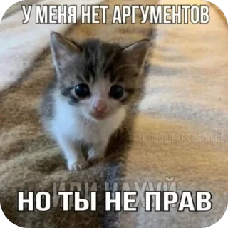 Sticker Ну там это - 4