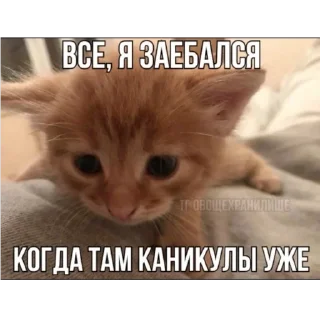 Sticker Ну там это - 3