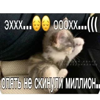 Sticker Ну там это - 9