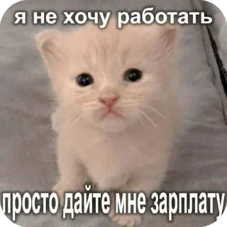 Sticker Ну там это - 11