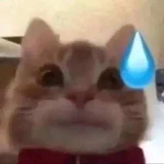 Sticker Ну там это - 1