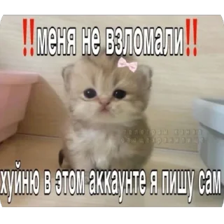 Sticker Ну там это - 2