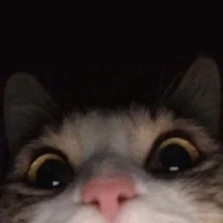 Sticker Создать стикеры|@EmojiRuBot - 8