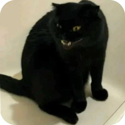 Больше стиков тут: @stikery4 - 