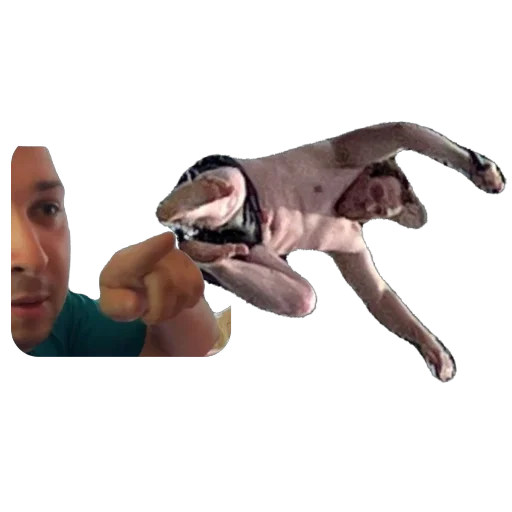 Sticker Ochlenin - 1