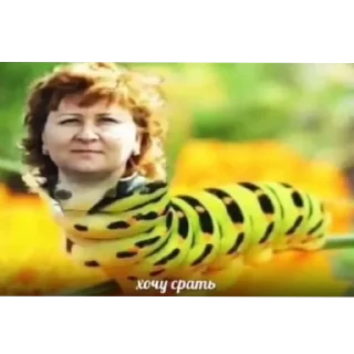 Стикер Ода доза - 10