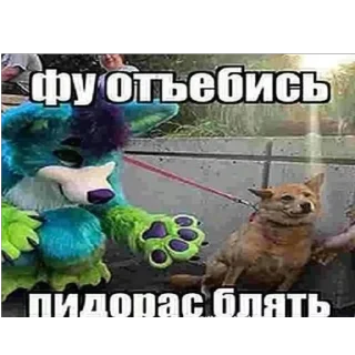 Sticker Ohio sticker pack - 10